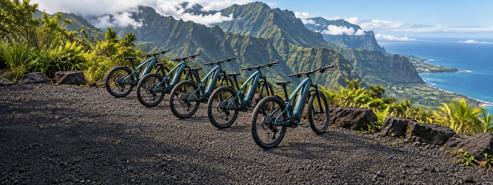 Flotte de VTT électriques de location alignés devant les montagnes